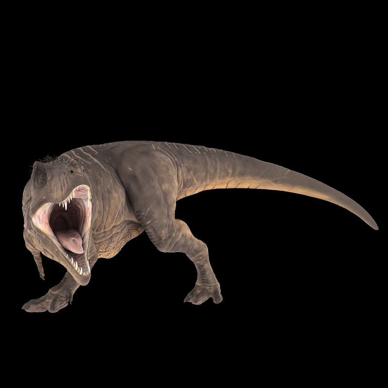 Brachiosaurus